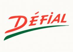 logo Defial