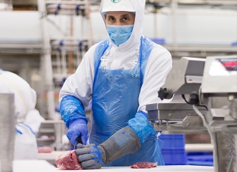Visual Meat cutter 